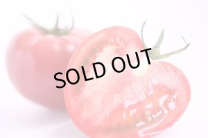 画像9: トマトクリスタル 2本セット（化粧箱入り）