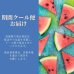 画像9: 白金プラチナバウム(20個入り)化粧箱入
