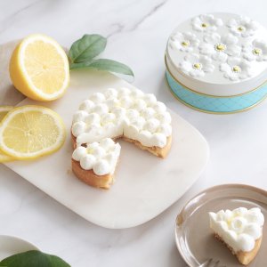 画像13: とれたて野菜と果実の生ジェラート＆国産レモンチーズケーキタルトセット(化粧箱入り）