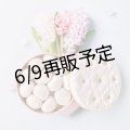 グルテンフリーのほどけるクッキー(ブールドネージュ)