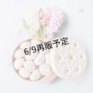 画像6: 季節のふきよせ2缶＆ほどけるクッキー(ブールドネージュ)セット（化粧箱入り）