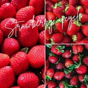 画像5: 【A常温便】恵みの福袋