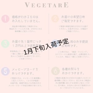 画像18: 季節のふきよせ2缶セット（SWEET＆SALTY）簡易ラッピング付き