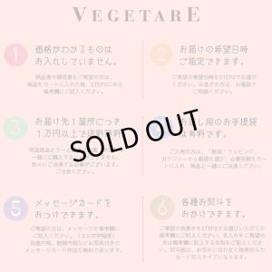 画像7: 【X'mas限定】ベジアレンジメント(12/24お届け)