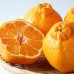 画像10: まるごと果実の生ジェラート6種セット【夏季限定】（化粧箱入り）