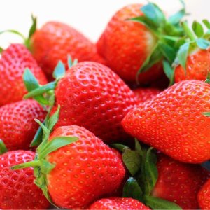 画像11: まるごと果実の生ジェラート6種セット【夏季限定】（化粧箱入り）