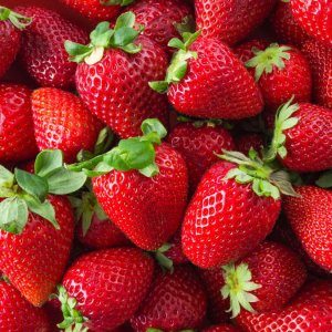 画像6: 幸せの缶ケーキ　苺ショコラタルト