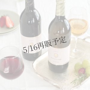 画像2: ノンアルコールワイン赤白2本セット(フルボトル)化粧箱入り