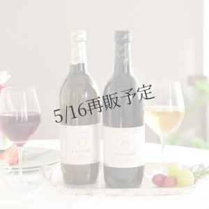 画像1: ノンアルコールワイン赤白2本セット(フルボトル)化粧箱入り