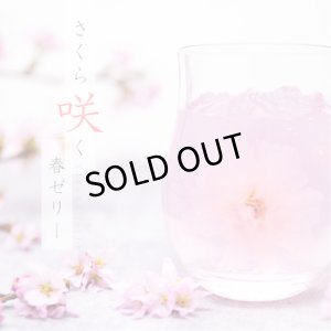 画像4: 【期間限定】桜＆苺ゼリー(6個入り）化粧箱入り