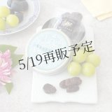 こだわり葡萄のセミドライ缶(シャインマスカット)単品