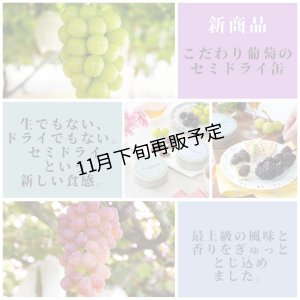 画像8: こだわり葡萄のセミドライ１缶＆素焼きナッツセット