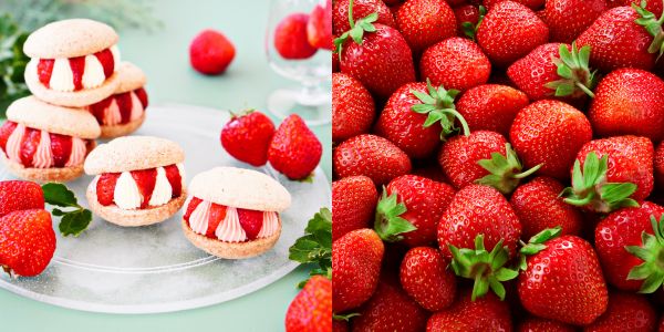 苺のダックワーズバターサンド