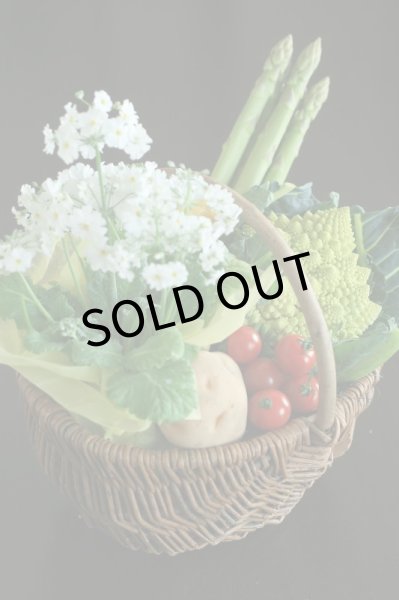 画像2: ベジアレンジメント (2)