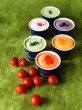 画像2: とれたて野菜と果実の生ジェラート&伝統和モダンセット(化粧箱入り) (2)