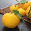 画像9: まるごと果実の生ジェラート6種セット【夏季限定】（化粧箱入り） (9)