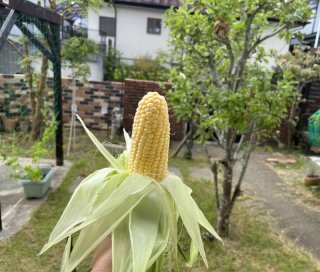 レビュー360-投稿画像1